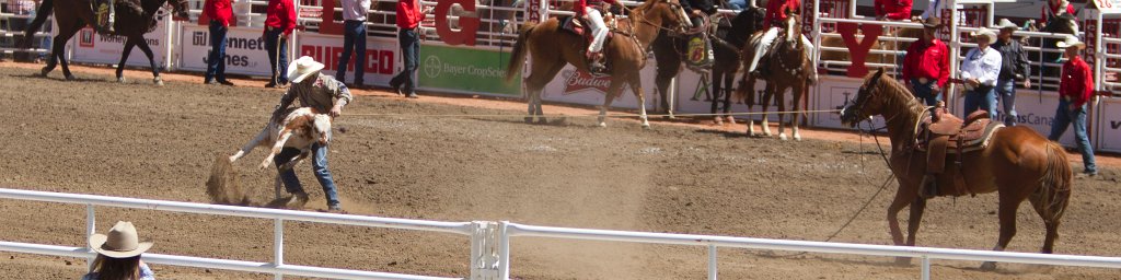 Calgary Stampede-1463.jpg